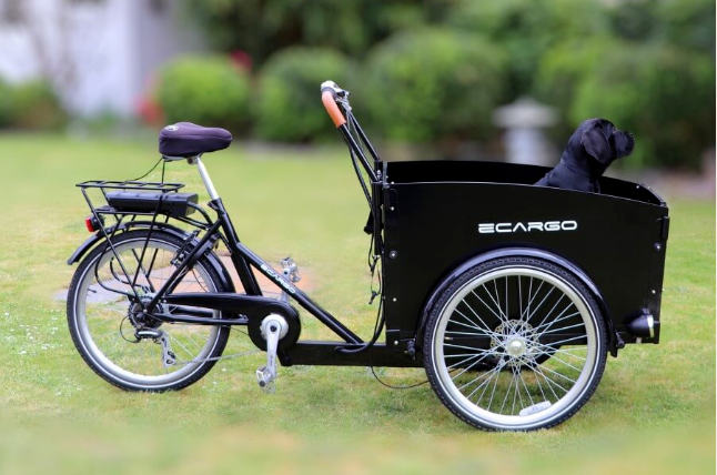 E-bike Kit Manufacturing